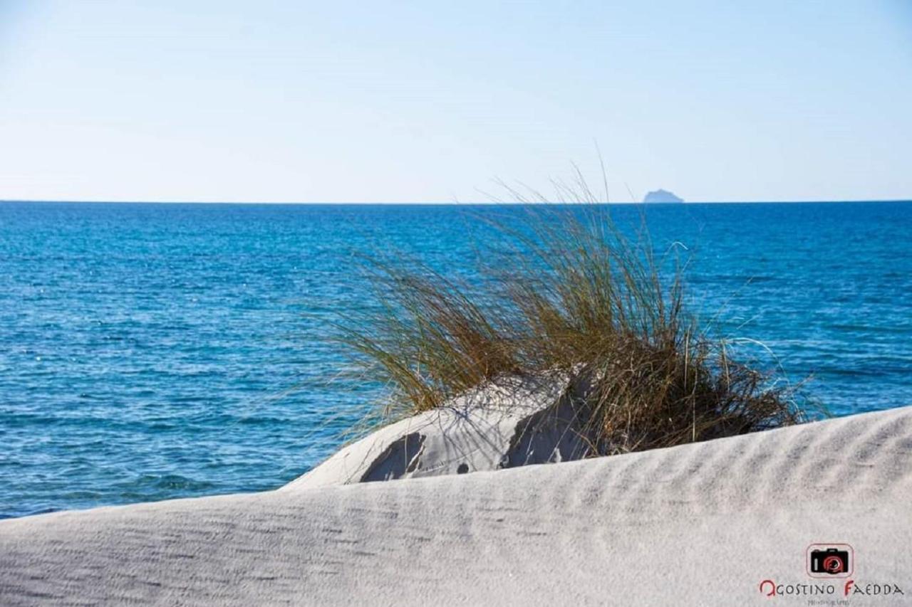 SantʼAnna ArresiCasa Vacanza Le Dune别墅 外观 照片